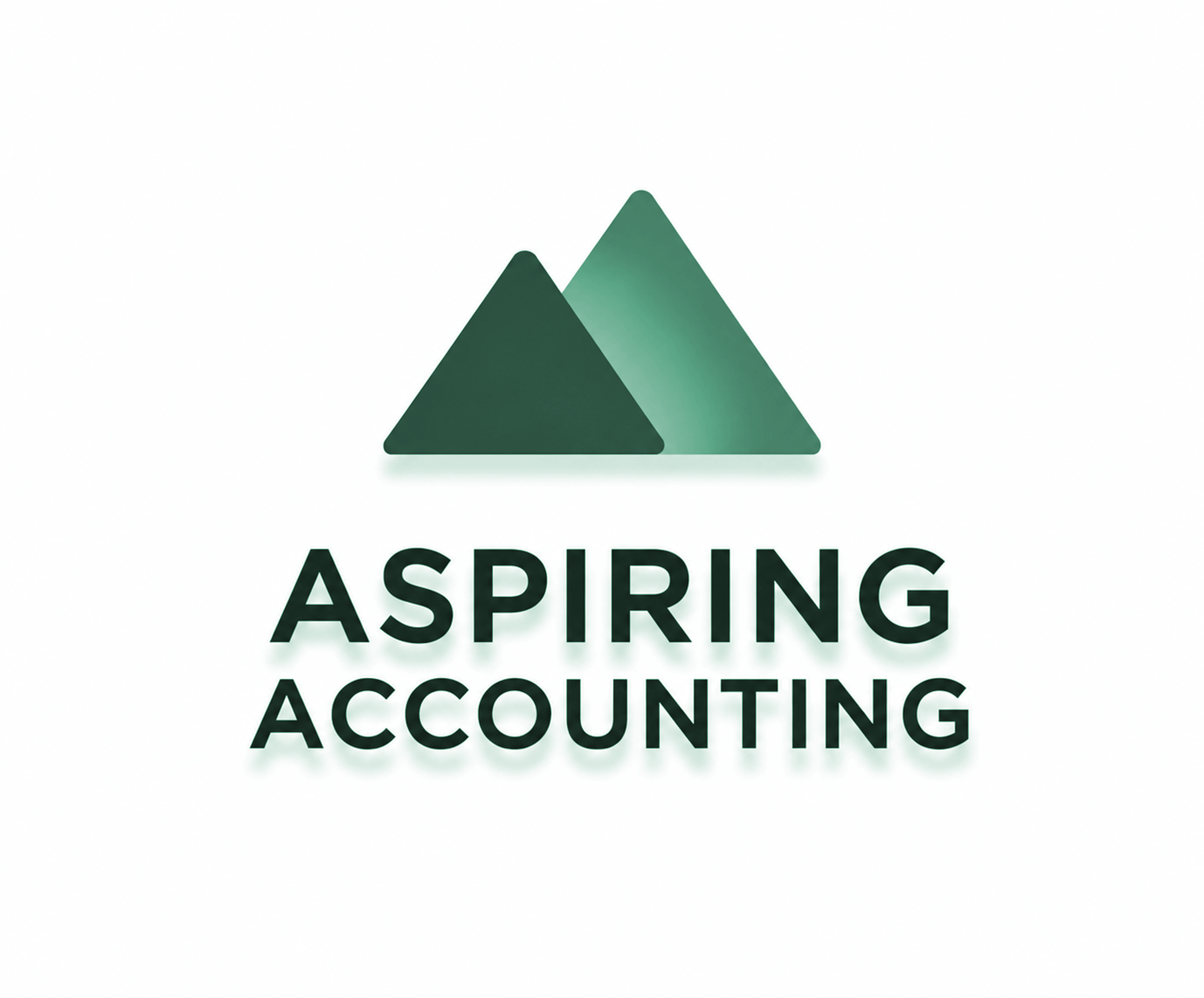 aspiringaccounting.nz
